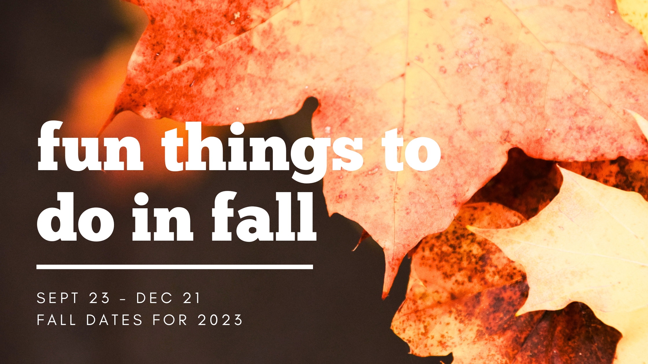 Now Discover 7 Fun Things To Do In Fall